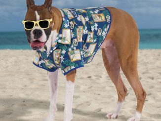 Canine Hawaiian Shirt