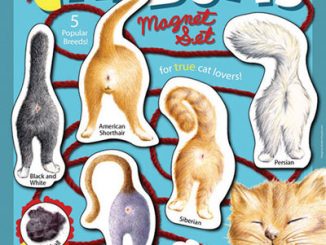 Cat Butts Magnet Set