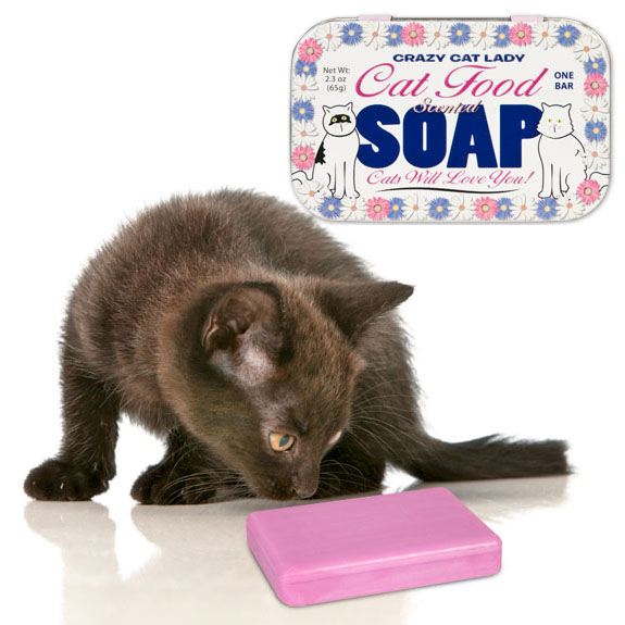 Cat Food Scented Soap