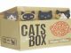 Cats in the Box Memo Tabbies