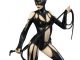 Catwoman Fantasy Figure Gallery DC Comics Collection Luis Royo Statue