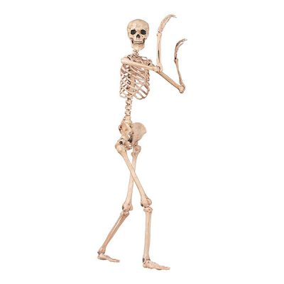 Crazy Bonez Pose n' Stay Skeleton