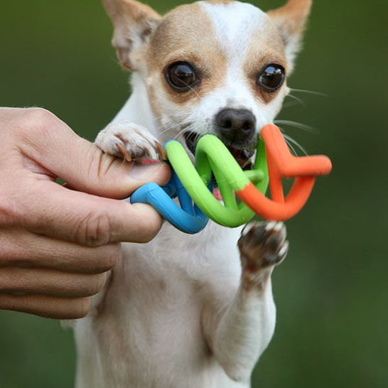 DNA Rubber Chewable Dog Toy
