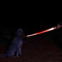 Darth Vader LED Lightsaber Dog Lead
