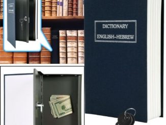 Dictionary Diversion Book Safe