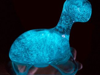 Dino Bioluminescent Pet
