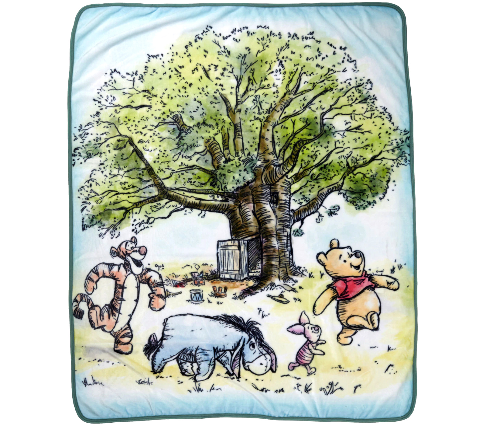 Disney Winnie the Pooh Eeyore Our Little Ways Twin Size Plush Blanket 