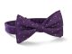 Doctor Who 11th Doctors Purple Bow Tie