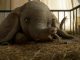 Dumbo Official Trailer