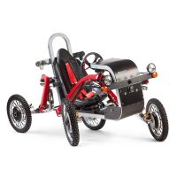 Electric All Terrain Quadricycle Vehicle