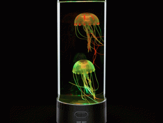 Electric Jellyfish Aquarium