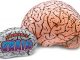 Emergency Inflatable Brain