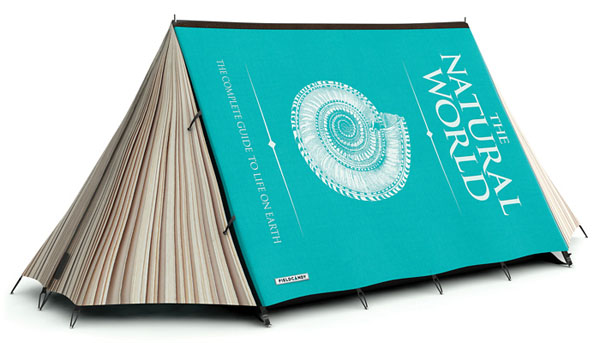 FieldCandy Tent: Fully Booked