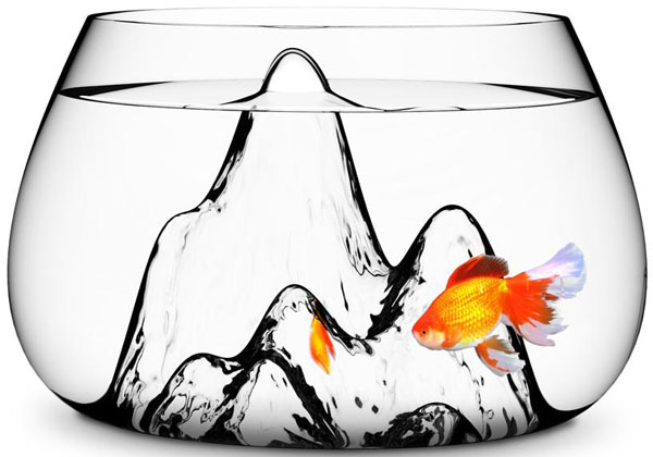 Fishscape Fishbowl