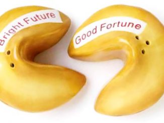 Fortune Cookie S & P Shakers