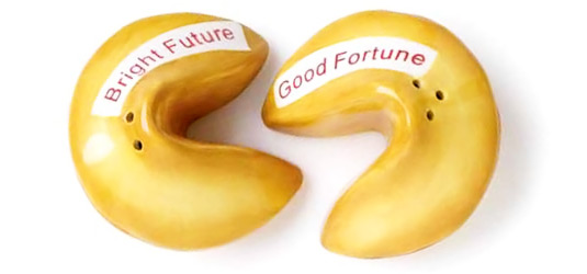 Fortune Cookie S & P Shakers