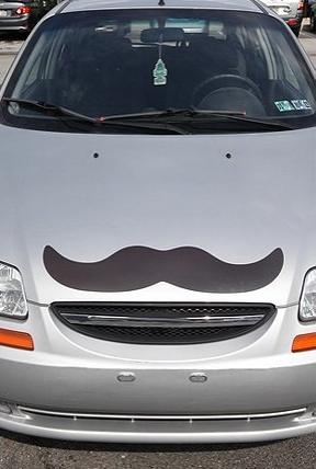 Giant Magnetic Mustache3