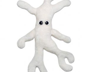 Giant Microbes Bone Cell (Osteocyte) Plush Toy