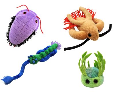 Giant Microbes Dino Creatures Plushes