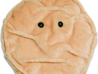 Giant Microbes Skin Cell (Keratinocyte) Plush Toy