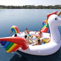 Giant Party Bird Unicorn Island Float