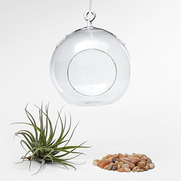 Glass Garden Globe