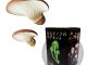 Glow-in-the-Dark Mushroom Magnet Blind Box