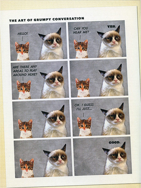 Grumpy Cat Grumpy Book