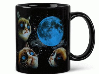 Grumpy Cat Moon Heat Change Mug