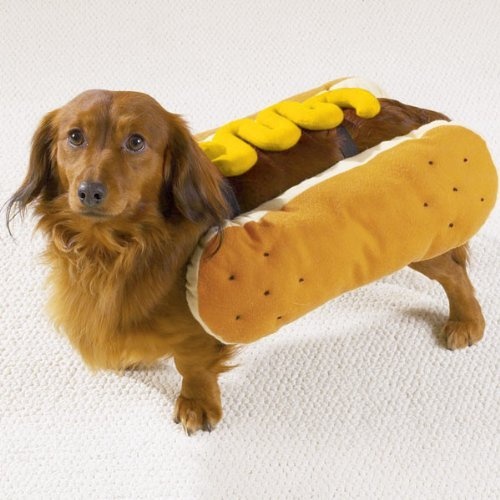Hot Diggity Dog Costume Mustard