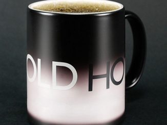 HotCold Mug