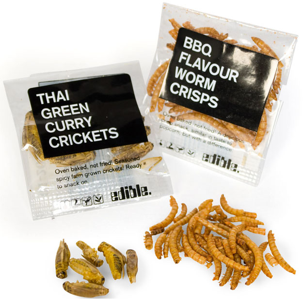 Insect Snacks
