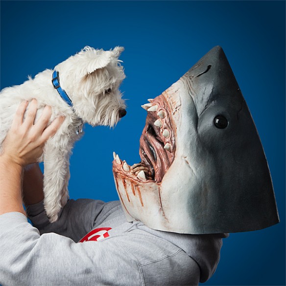 Jaws Officially Licensed Bruce the Shark Mask