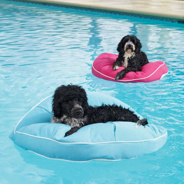 Kai Pet Pool Floats