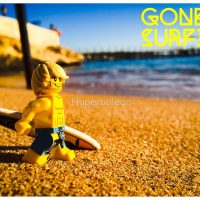 LEGO Dude Gone Surfing