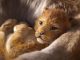 Lion King Long Live the King Trailer