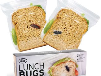 Lunch Bugs
