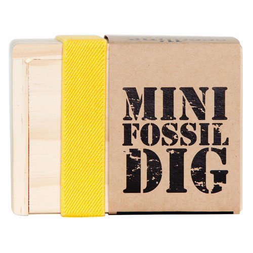 Mini Fossil Dig