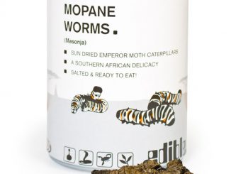 Mopane Worms