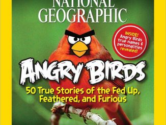 National Geographic Angry Birds Book