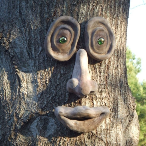 Oakley Tree Face