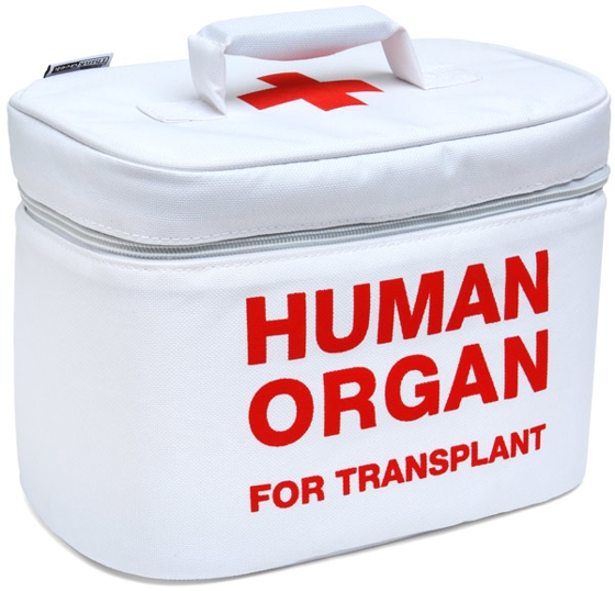 Organ Transport Lunch Bag