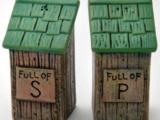 Outhouse Salt and Pepper Shakers
