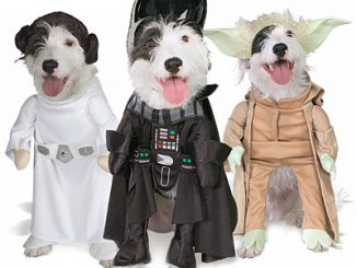 Pet Star Wars Costumes