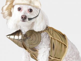 Pop Queen Dog Costume