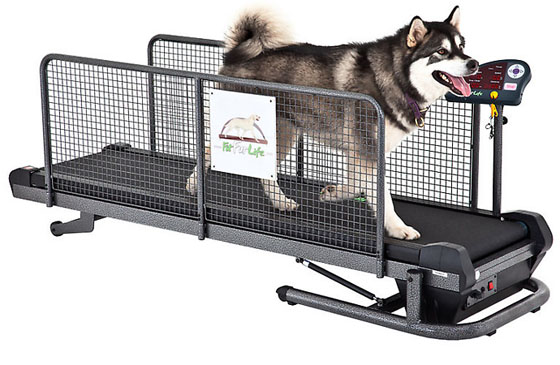 Professional Fit Fur Life Treadmill