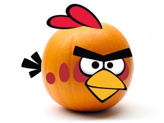 Red Bird Angry Birds Pumpkin Push Ins