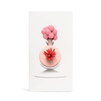 Rick and Morty Plumbus Box Front