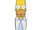 Santa Cruz Simpsons The Homer Deck