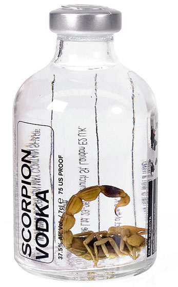 Scorpion Vodka Novelty Drink